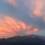 D'alba ゲストハウス
